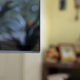 Illustration for article titled Pics from the Living Room: 2018-03-30 with LG 55C7